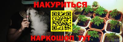 прущие грибы Лесосибирск