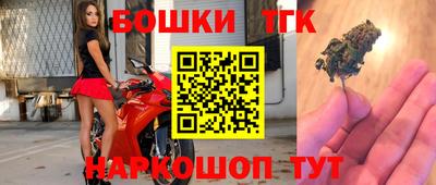 прущие грибы Лесосибирск